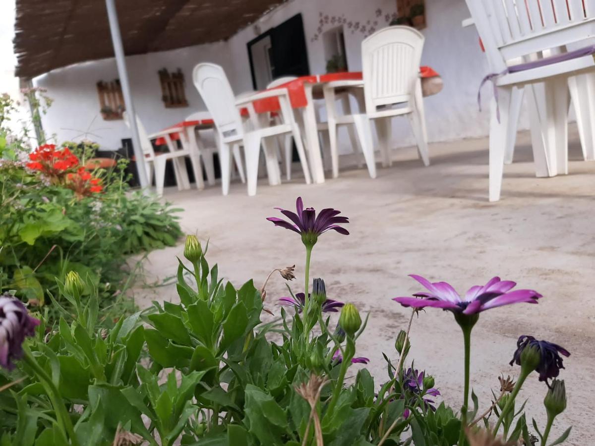 Es Barranco Guest House Ferreries Exterior foto