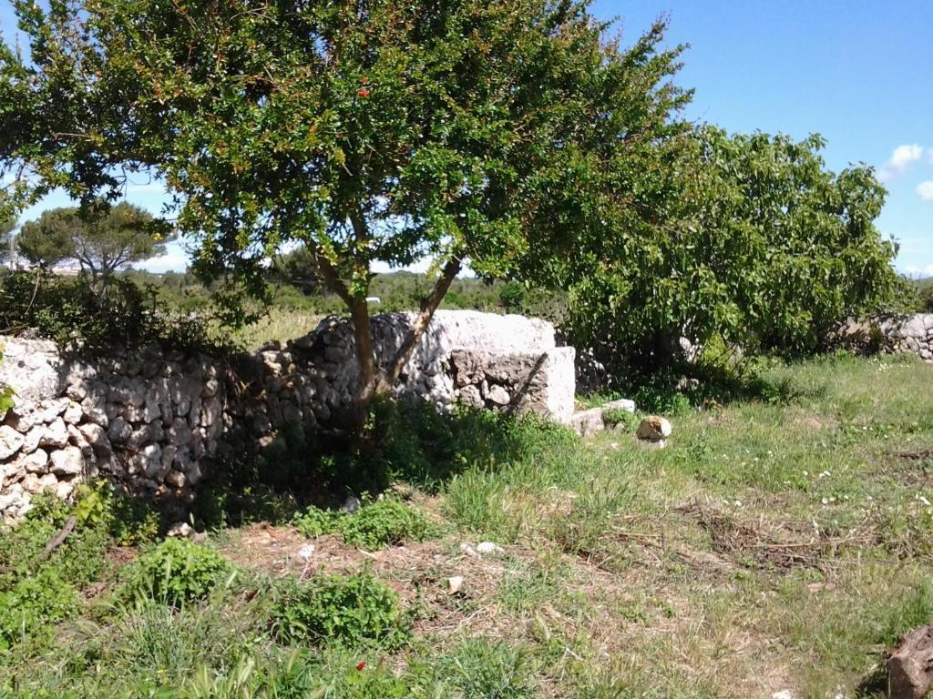 Es Barranco Guest House Ferreries Exterior foto